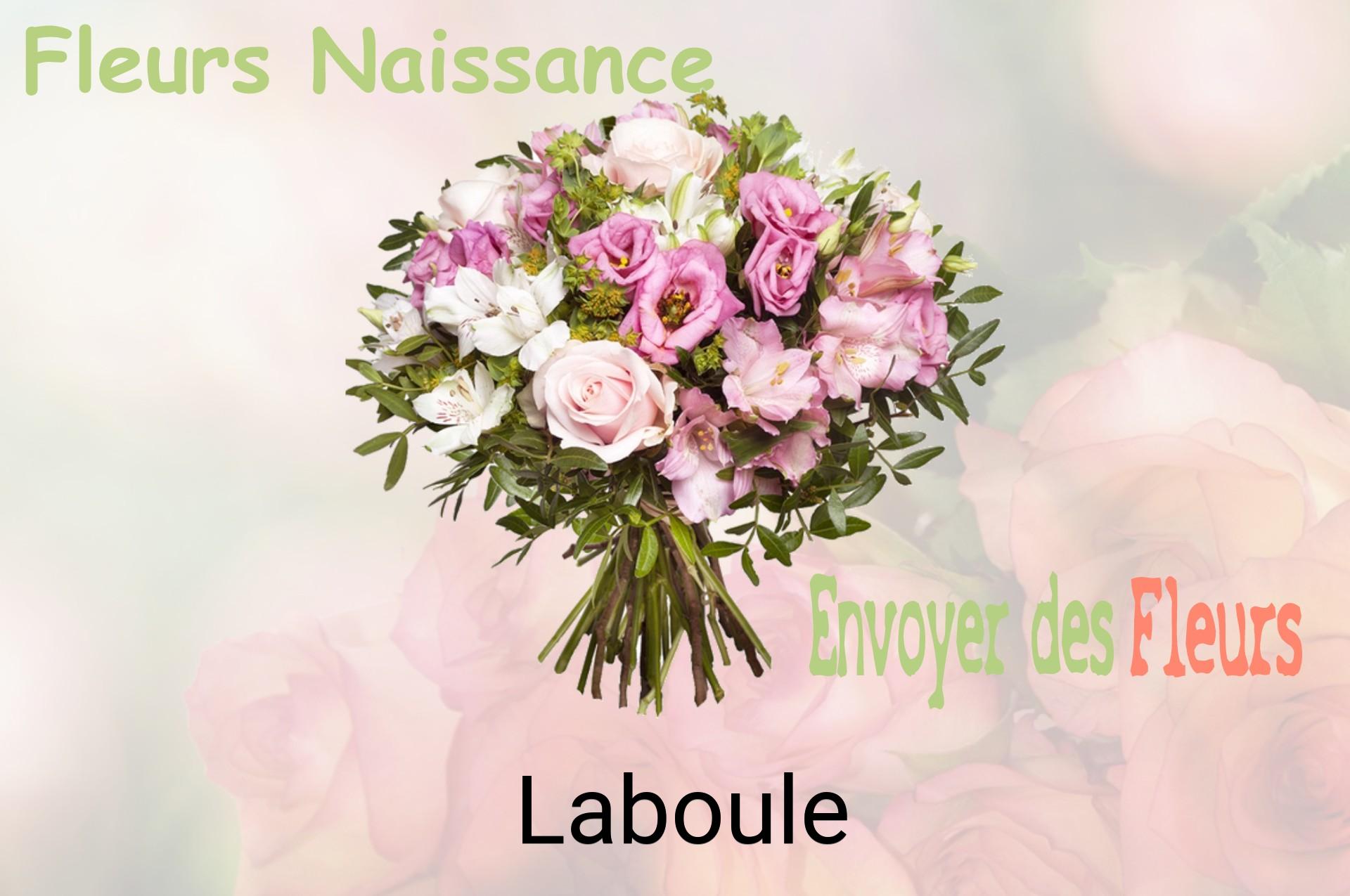 Bouquet de fleurs de naissance livré à Laboule