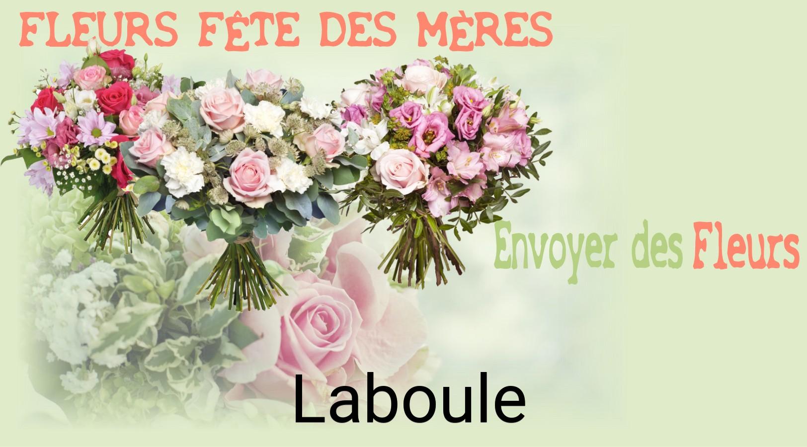 Bouquet de Fête des Mères livré à Laboule